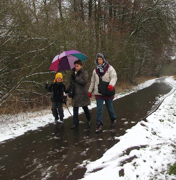 Wandeling De Paalse Plas 24-2-2013 (41).JPG